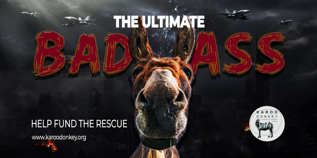 donkey billboard 1